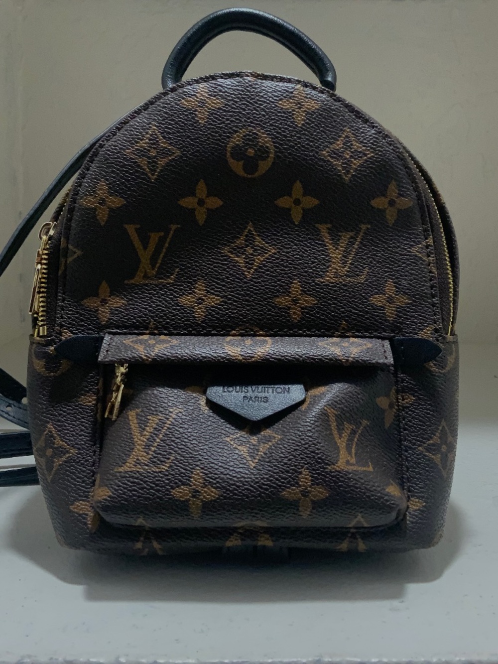 Louis Vuitton Palm Springs Mini Backpack